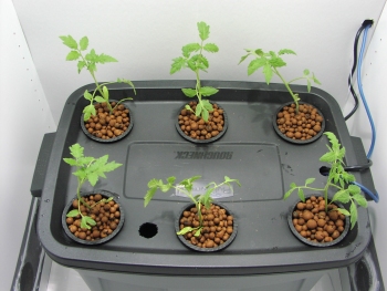 HYDROPONICS GROW BOX SYSTEM- COMPLETE PLANS AND TIPS