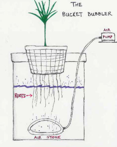 BUCKET HYDROPONICS -FREE PLANS FOR A BUCKET BUBBLER