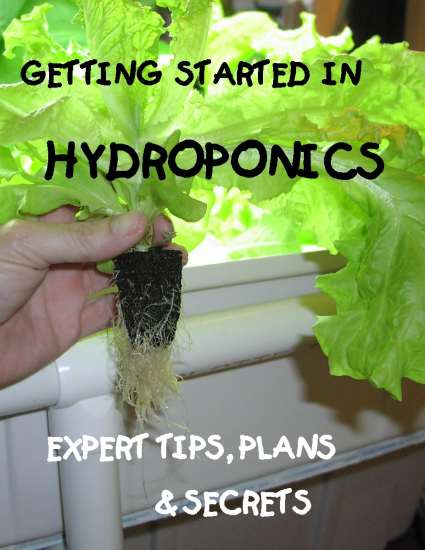 HYDROPONICS HOW TO- SIMPLY THE BEST GUIDE OUT THERE