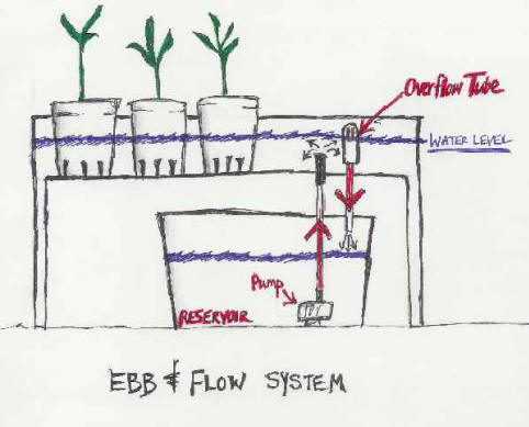 Free Build your own Hydroponic System plans