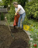 woman spreading manure in garden