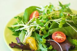 salad with microgreens