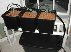 HYDROPONIC DRIP SYSTEM- FREE PLANS