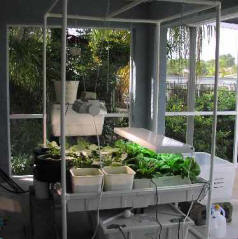 OUTDOOR HYDROPONICS: A PATIO GARDEN