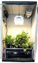 hydroponics grow closet