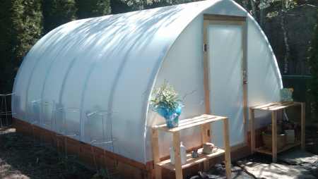 Quonset style greenhouse