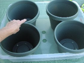 pots must fit the drain table pots must fit the drain table