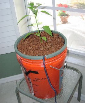 the bucket bubbler