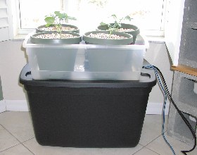 cute little Hydro set up cute little Hydro set up