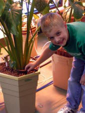 hydroponic patio planters