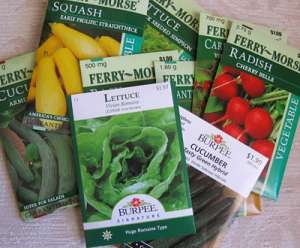 seed packets