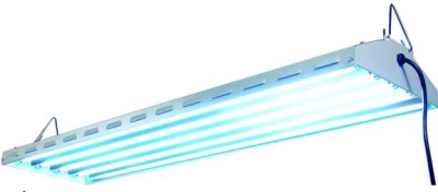 T5 fluorescent lamp