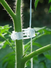 tomato vine clip