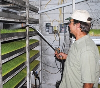 fodder advantages