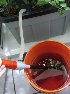 hydroponic upkeep