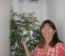 Stella's hydroponic closet